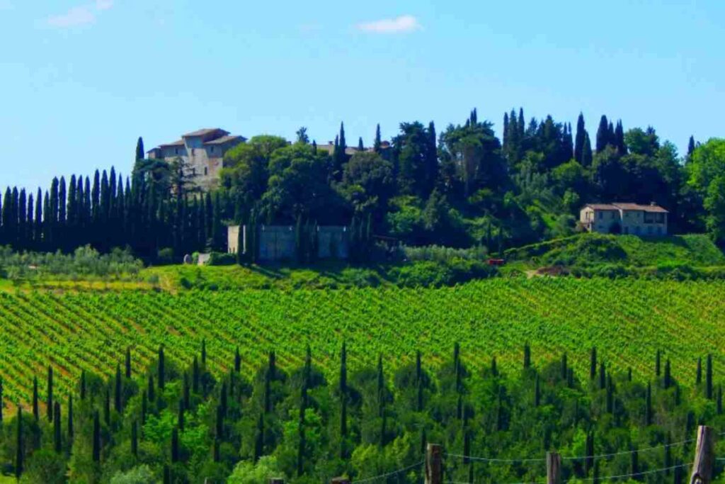 Gaiole in Chianti, Toscana