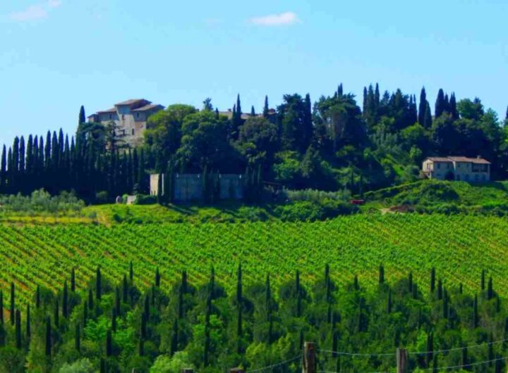 Gaiole in Chianti, Toscana
