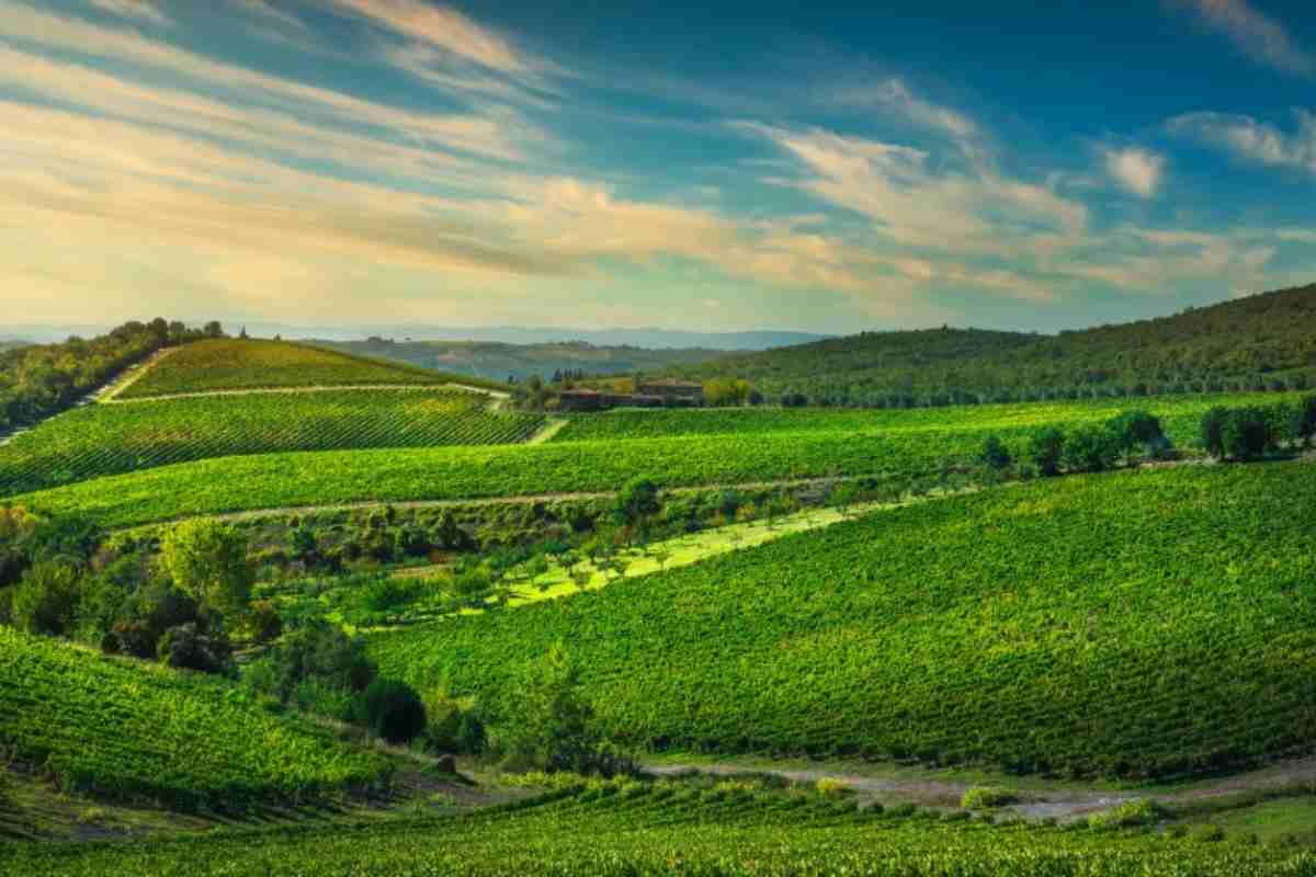 Gaiole in Chianti, Toscana