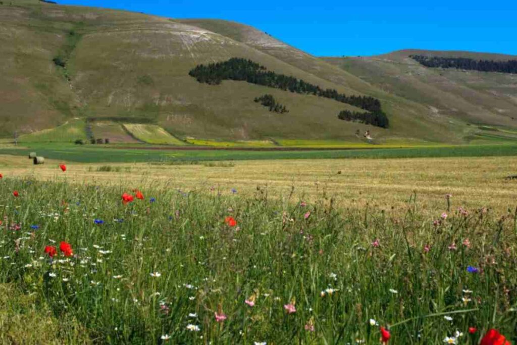 Borgo immerso nel verde