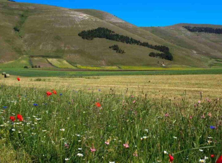 Borgo immerso nel verde