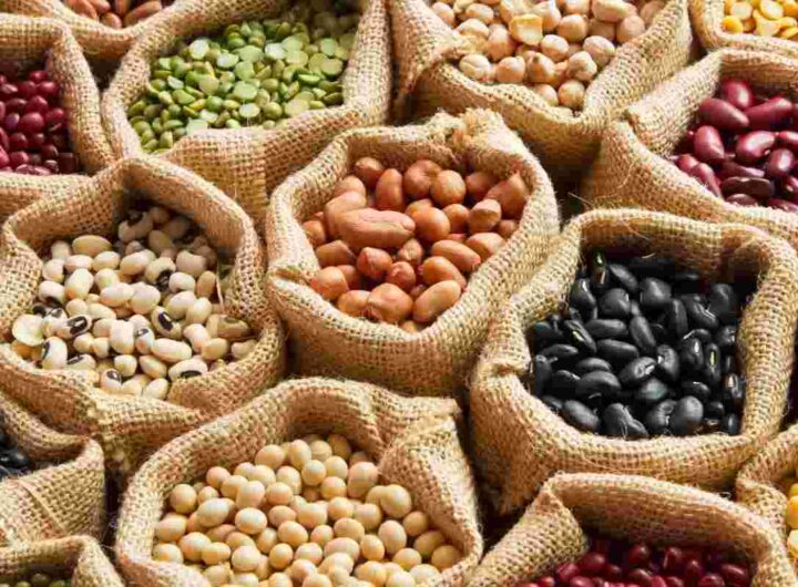 Questo legume è pieno di ferro ma nessuno lo mangia mai, i dettagli