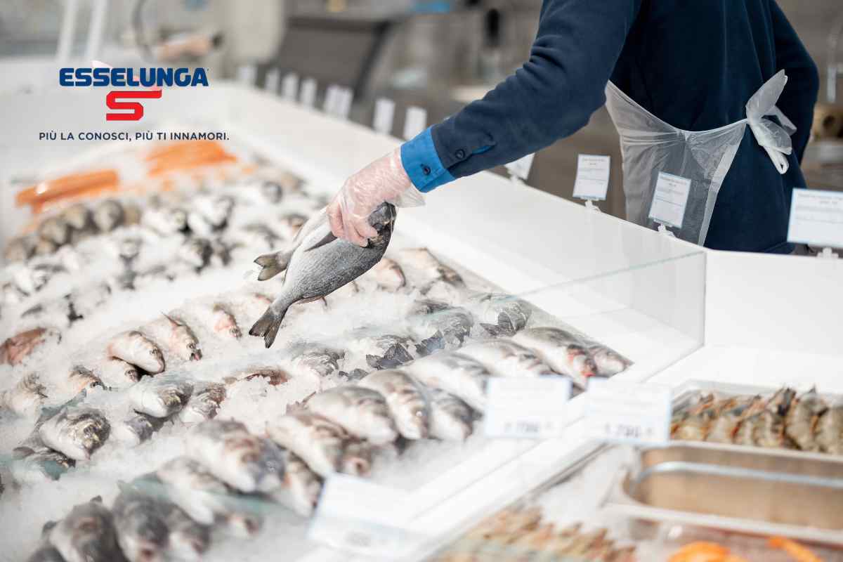 Da dove arriva il pesce dell’Esselunga? La provenienza non la immagini