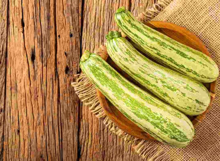 Taglia così e poi metti in forno le zucchine