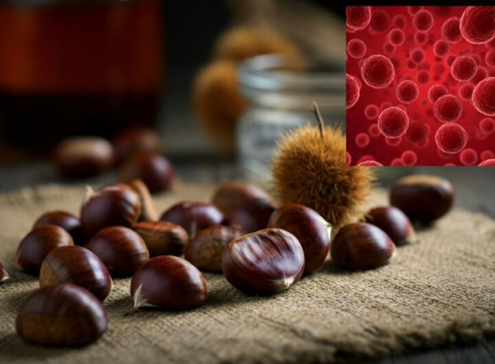 Castagne e colesterolo