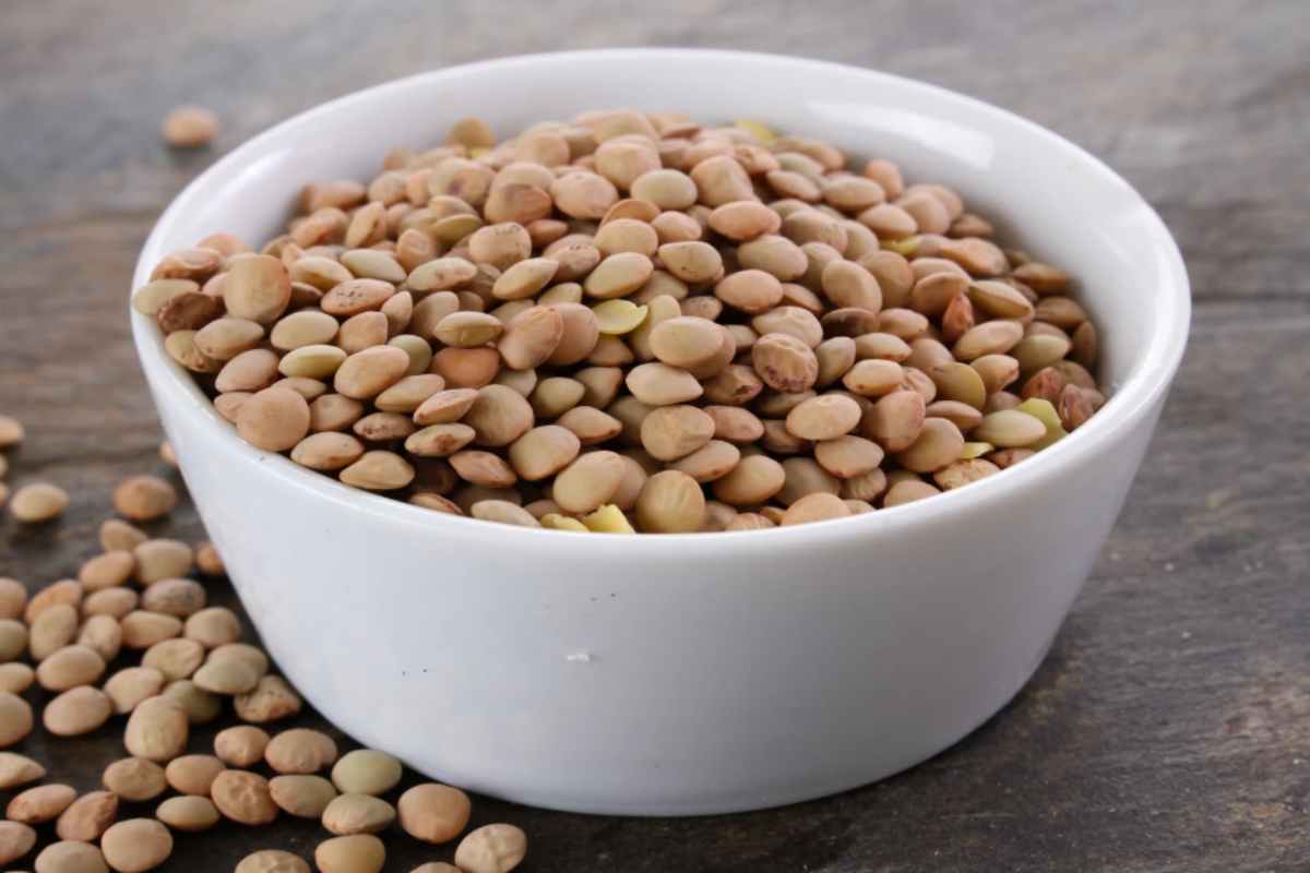 Lenticchie