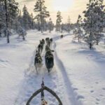 un invito a riflettere sull’importanza del silenzio in un’epoca dominata dal rumore e dalla connessione costante.