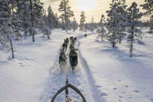 un invito a riflettere sull’importanza del silenzio in un’epoca dominata dal rumore e dalla connessione costante.