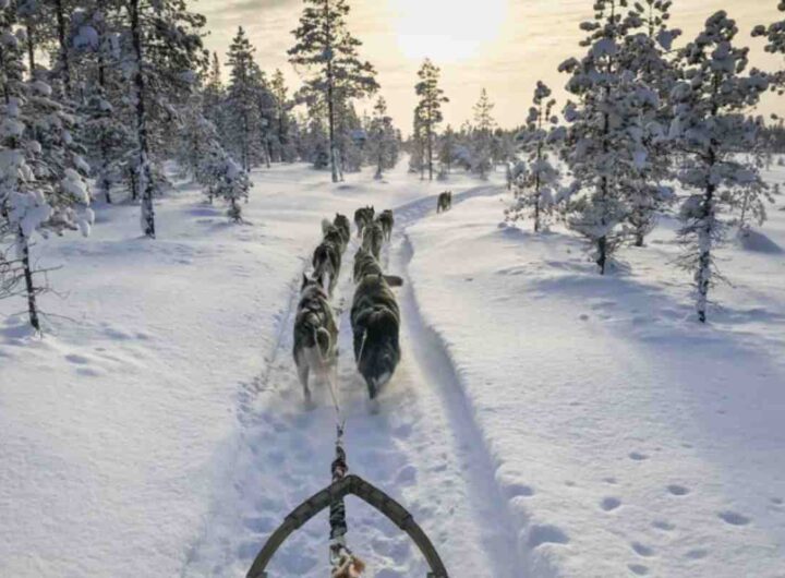 un invito a riflettere sull’importanza del silenzio in un’epoca dominata dal rumore e dalla connessione costante.