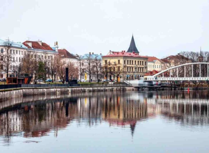 Meta ideale per il food