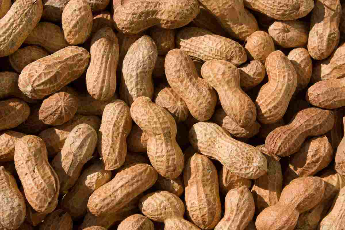 Questo hotel è uno dei più strani al mondo