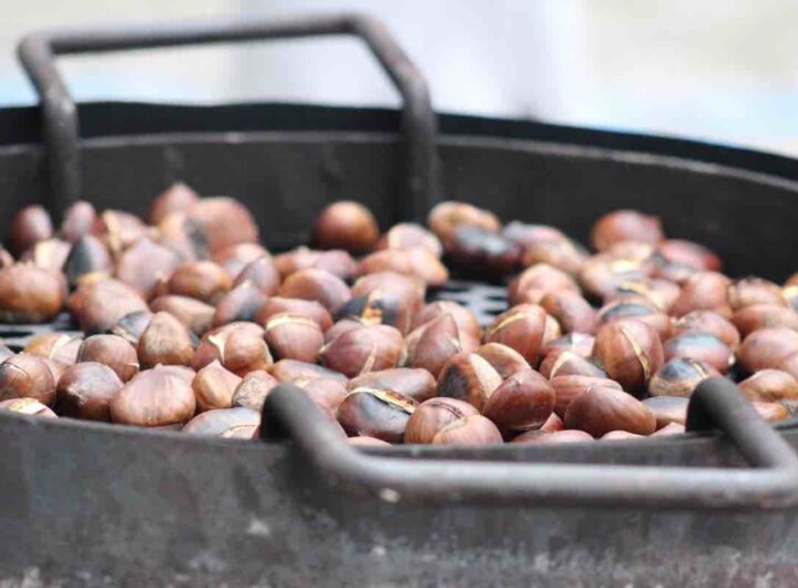 castagne