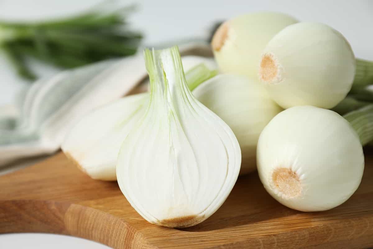 pasta alla genovese con la ricetta di cannavacciuolo