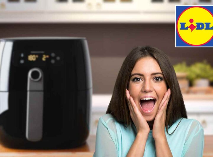 friggitrice aria offerta lidl