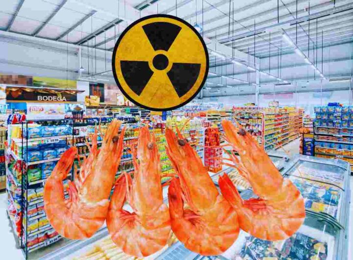 pericolo di radioattività nei gamberi
