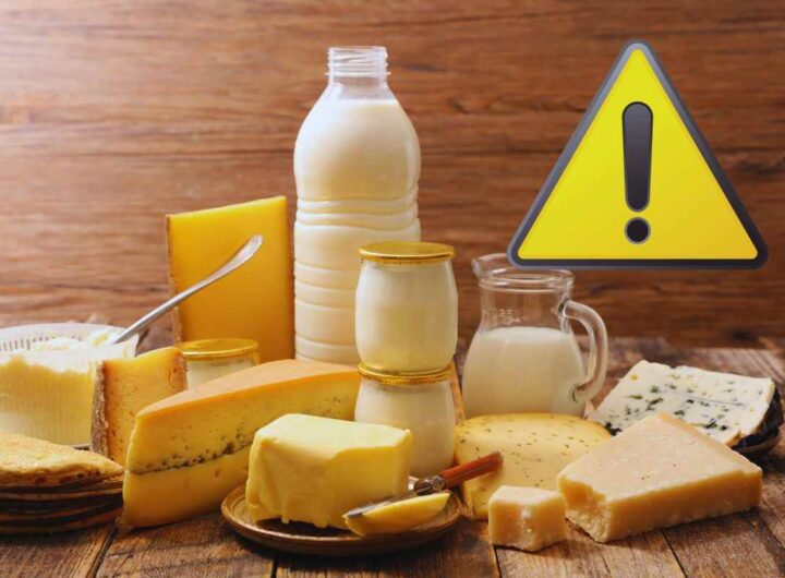 microplastiche in latte e formaggi