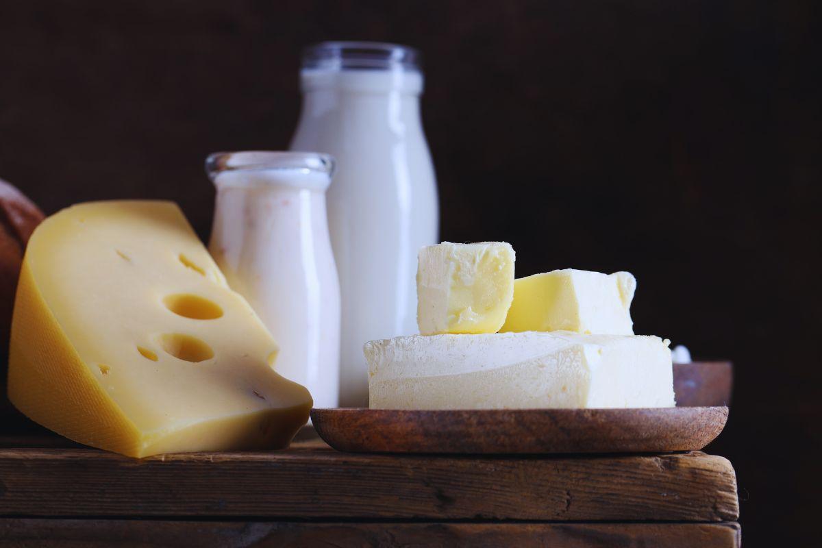 pericolo di micriplastiche in latte e formaggi