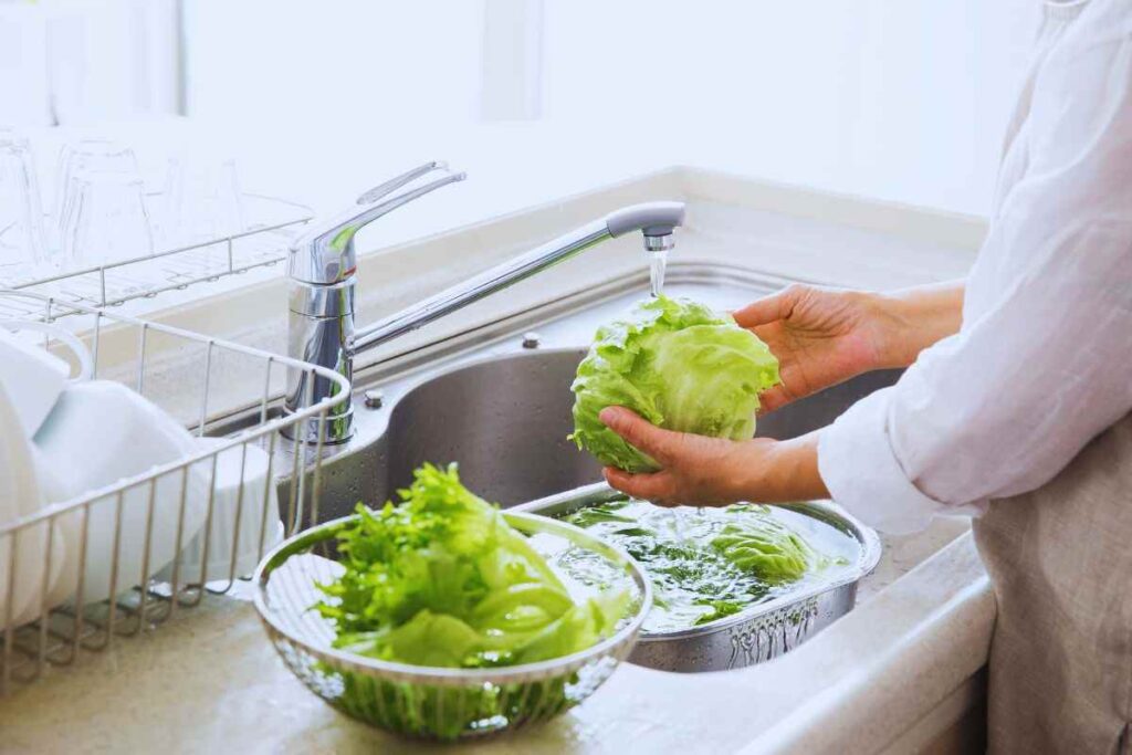 come lavare l'insalata