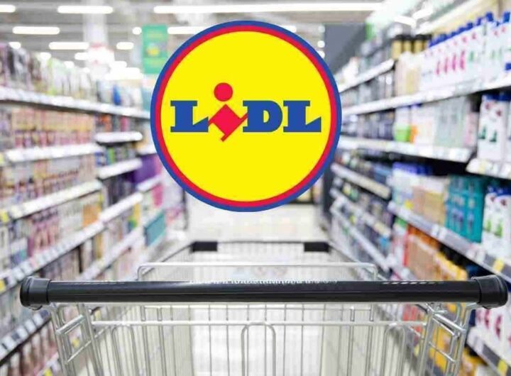Lidl, spesa maxi, prezzi mini