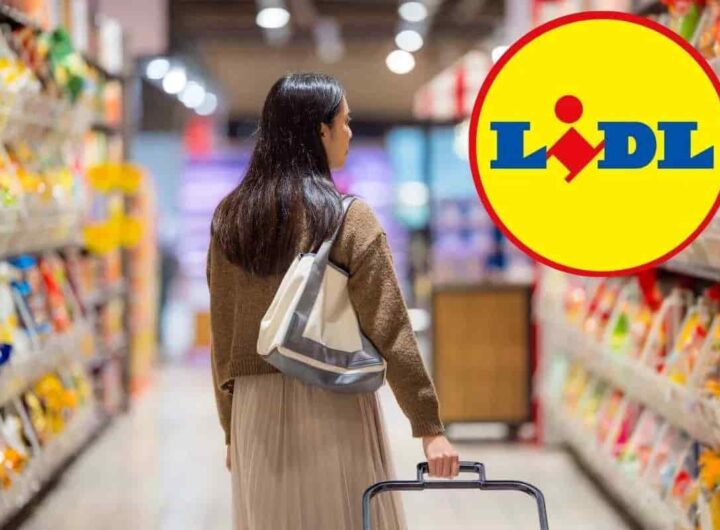 offerta lidl sulle grandi marche
