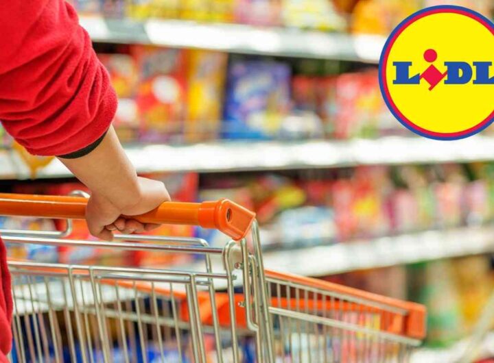 "A prova di chef" ma a prezzo Lidl!