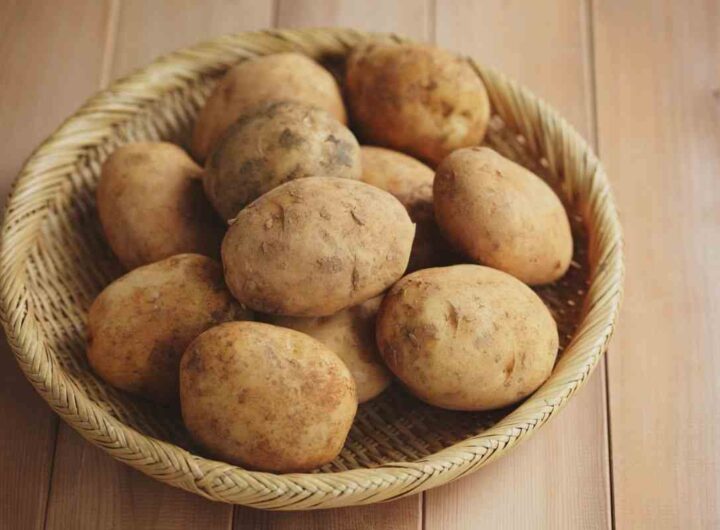 patate: come conservarle in modo che non germogliano