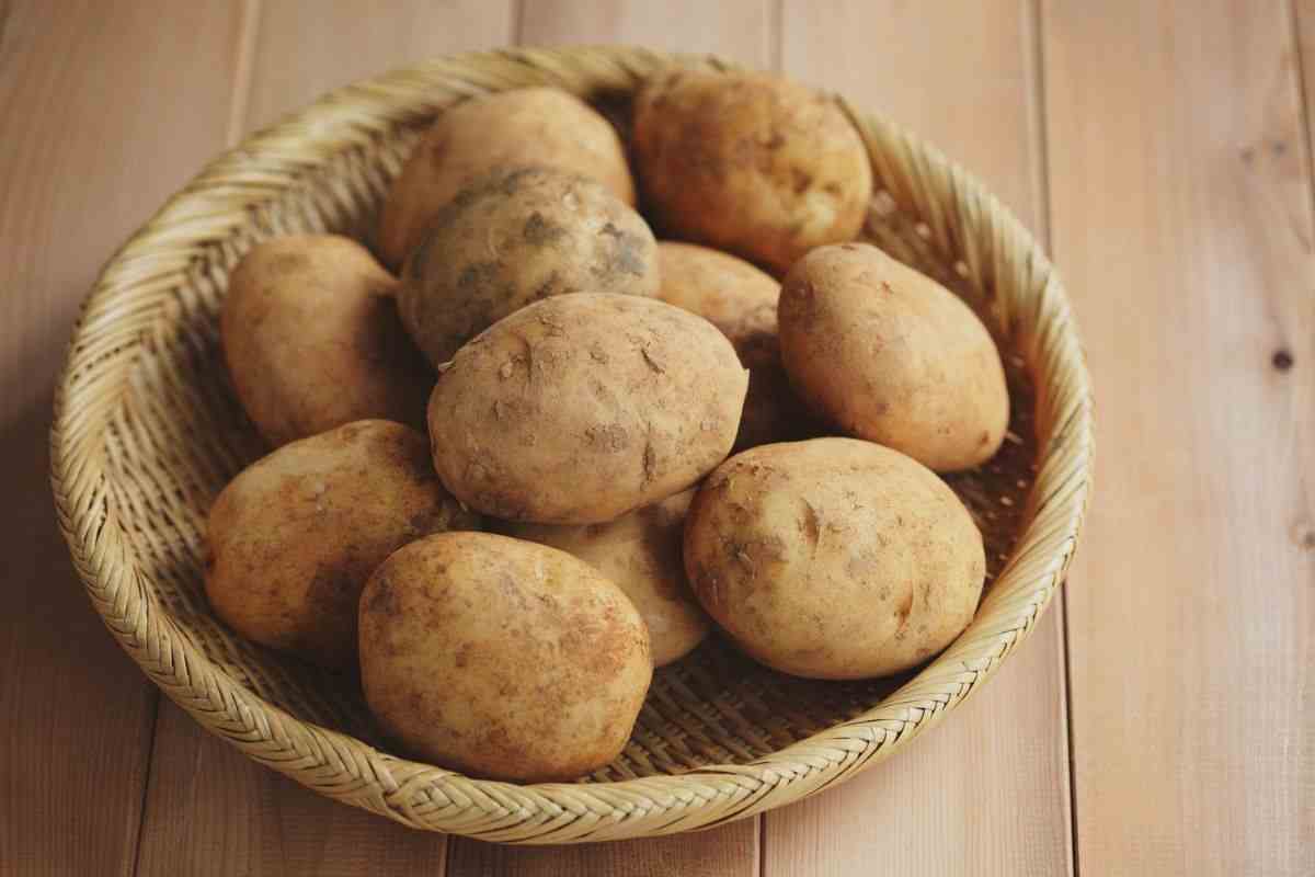 patate: come conservarle in modo che non germogliano