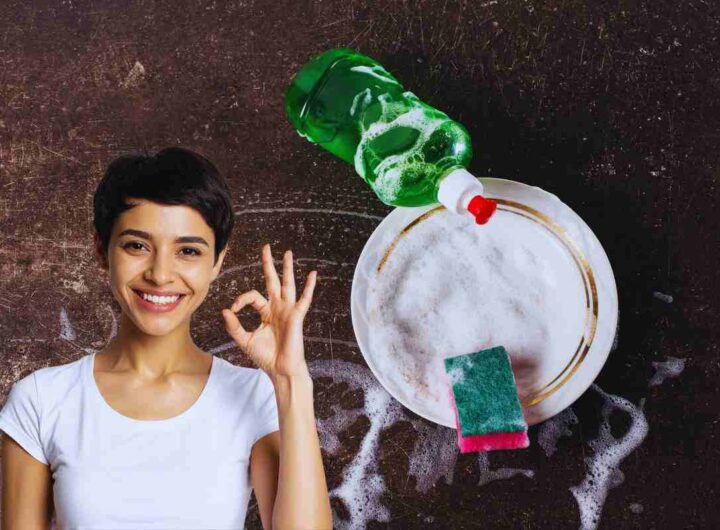 sale e detersivo per le pulizie