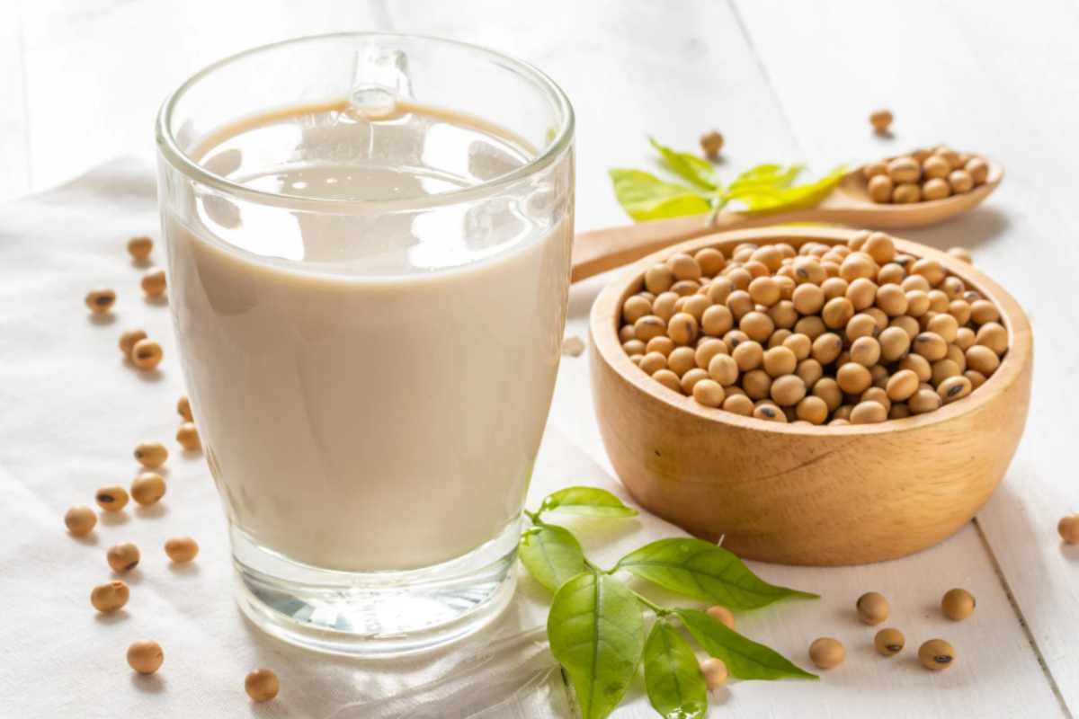 Latte di soia