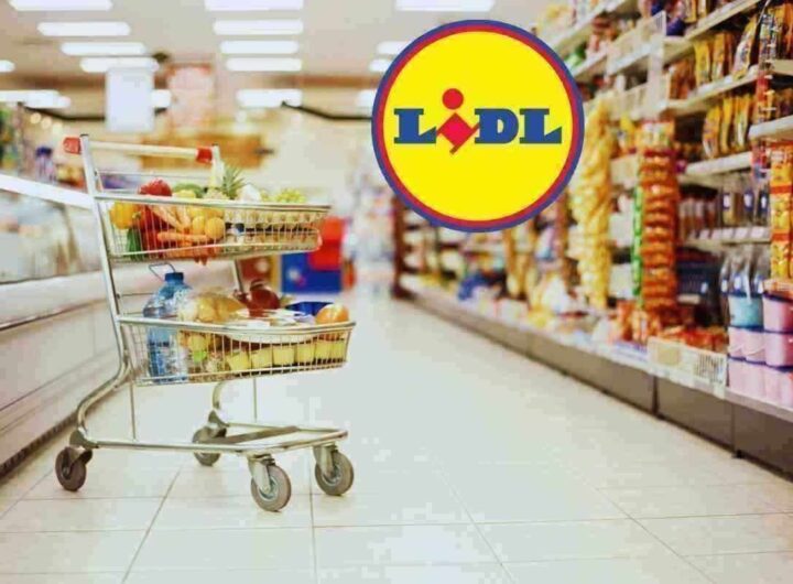 le grandi marche che Lidl ti offre a prezzo discount