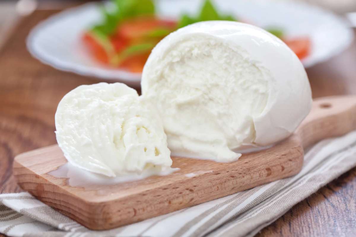 Mozzarella