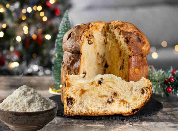 Panettone