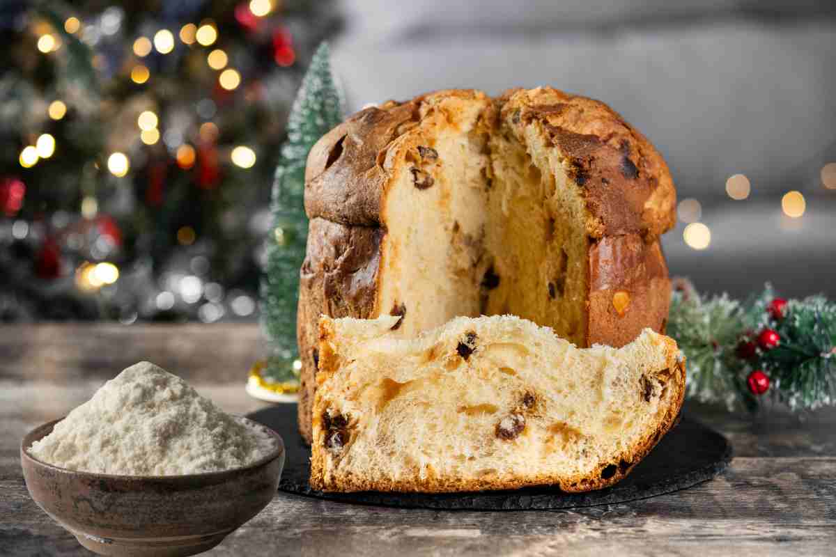 Panettone