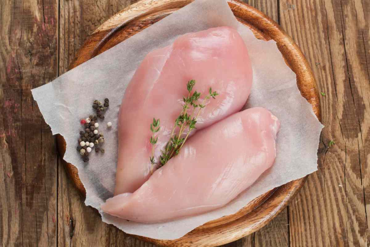 Petto di Pollo
