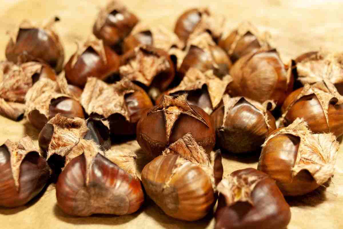 friggitrice ad aria castagne