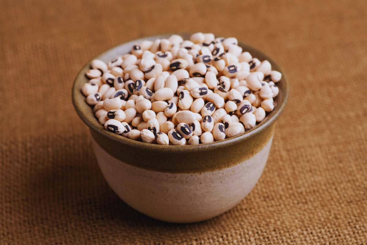 Questo legume è ricco di ferro