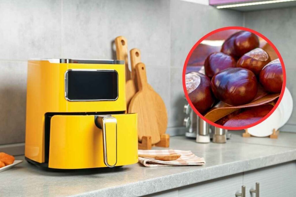 friggitrice ad aria castagne
