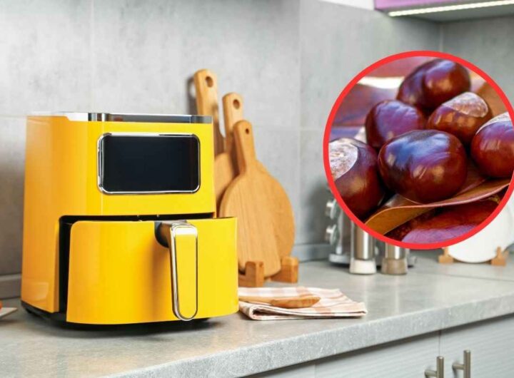 friggitrice ad aria castagne