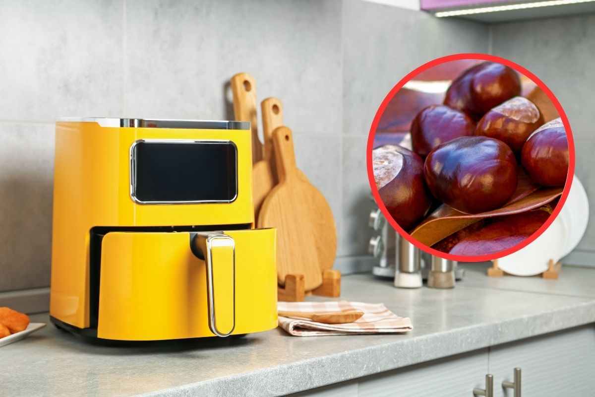 friggitrice ad aria castagne