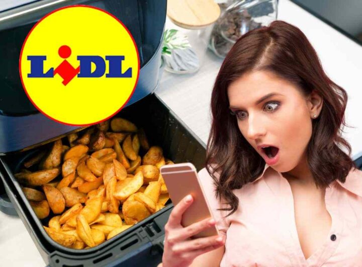 friggitrice ad aria lidl