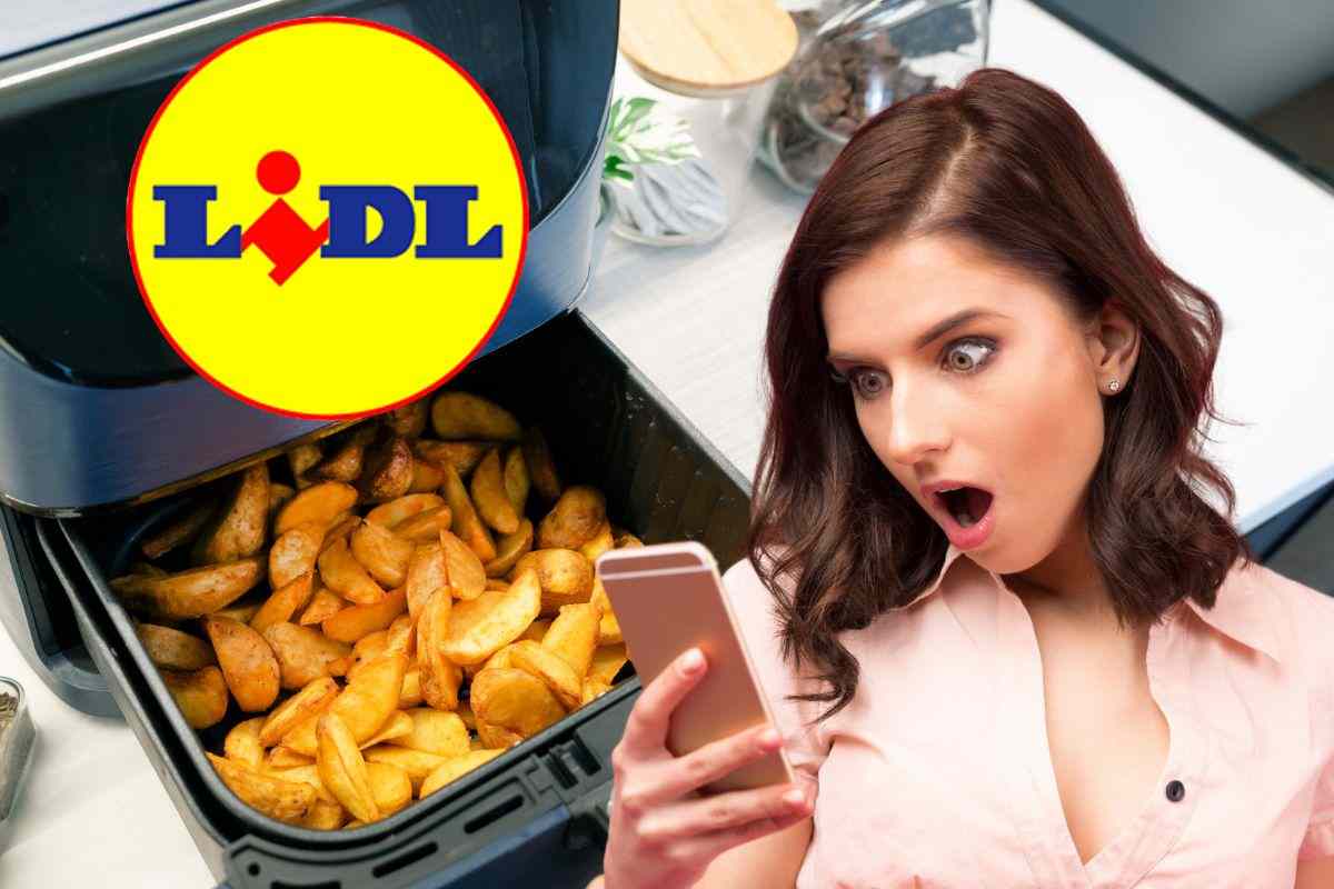 friggitrice ad aria lidl