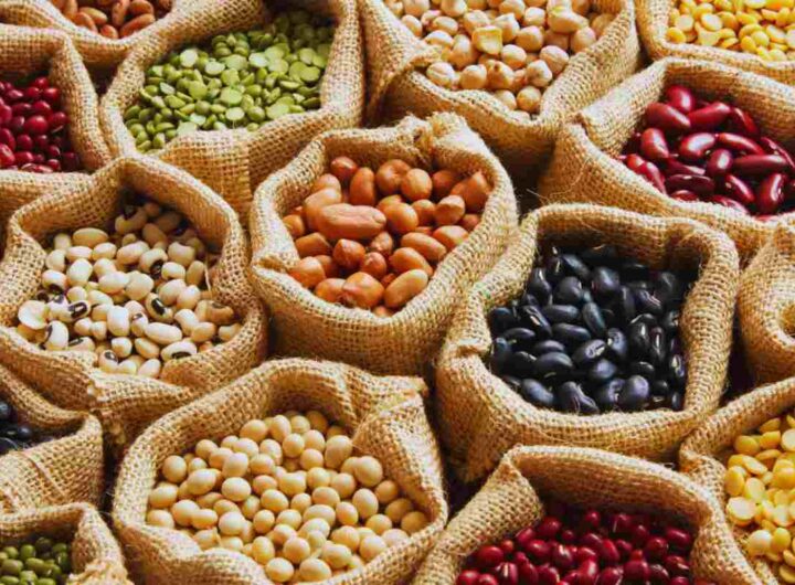 Questo legume è ricco di ferro