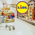 offerte lidl prodotti sottocosto