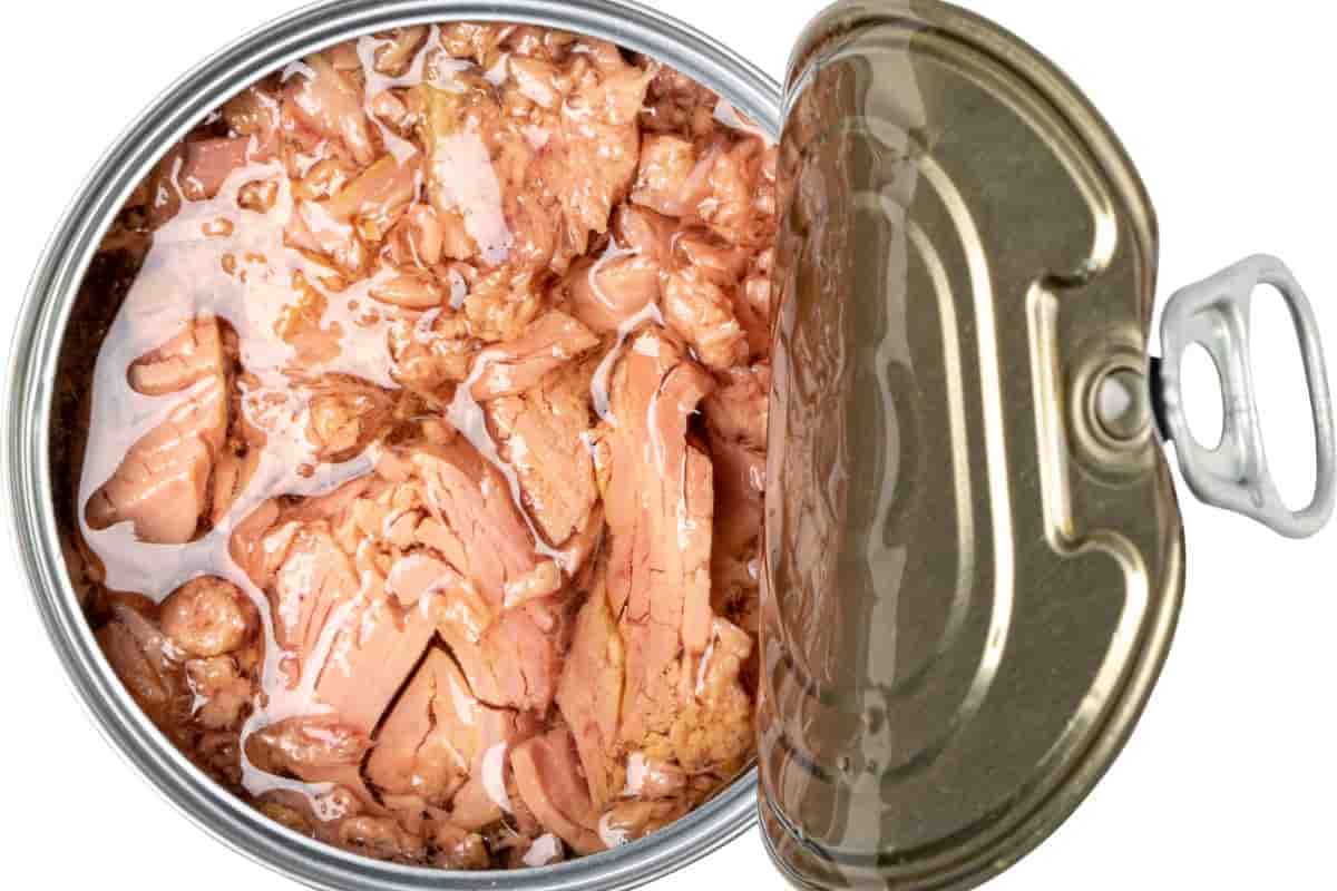 come scegliere il tonno di qualità al supermercato