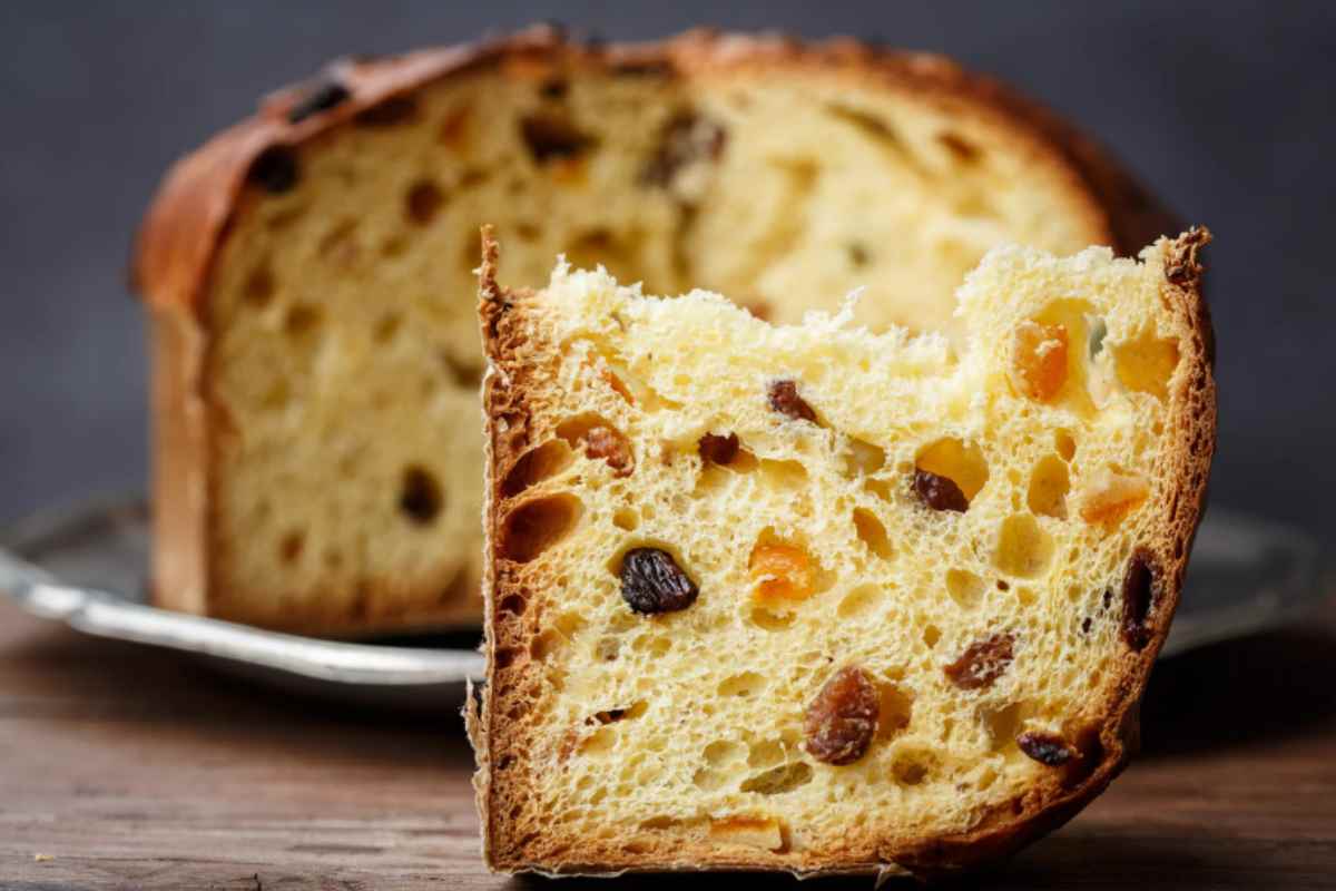 Panettone 