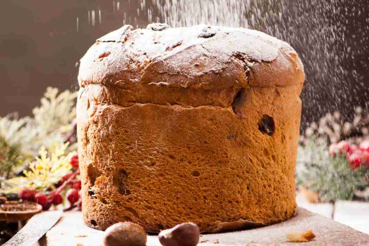Panettone