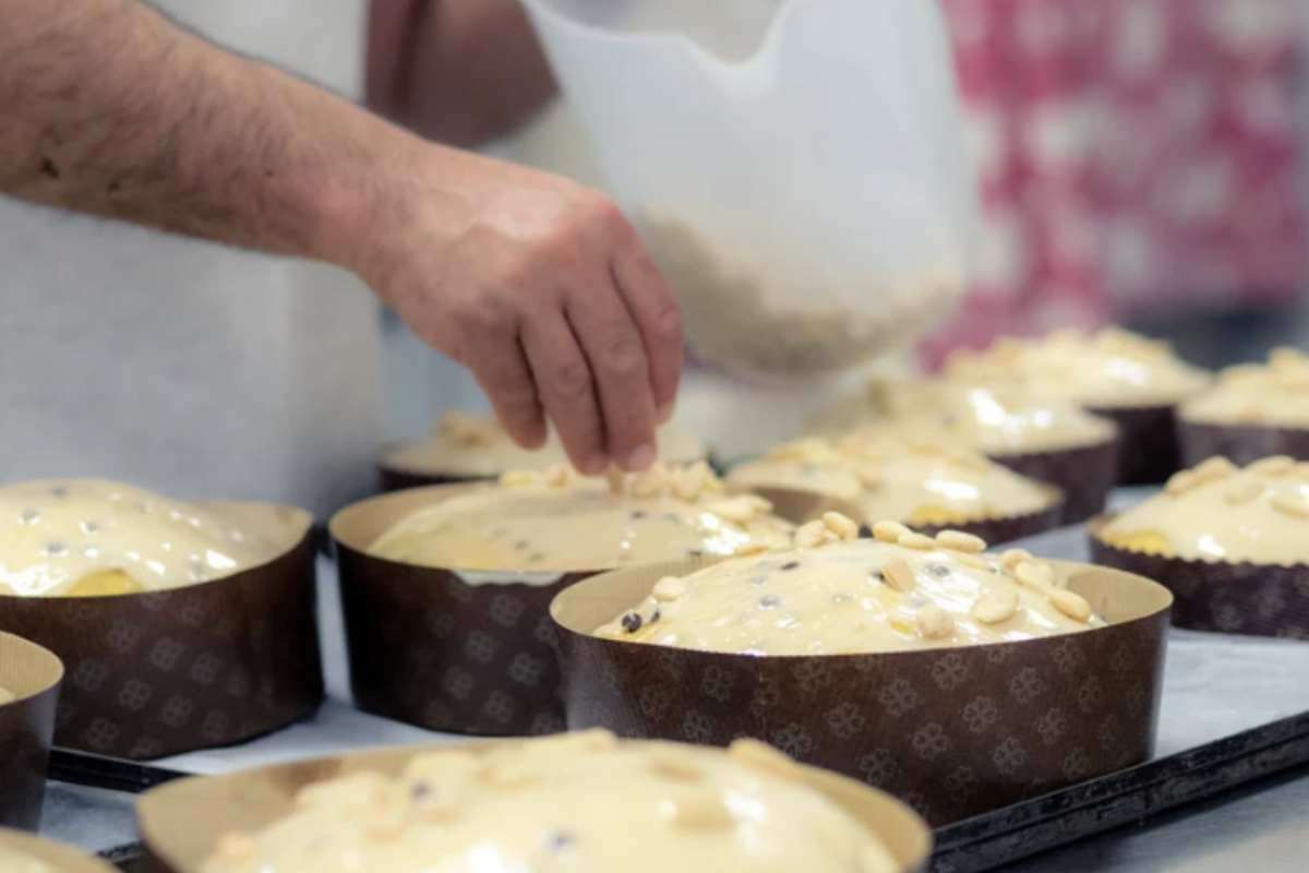 A differenza di altri dolci lievitati come torte o plumcake, che hanno una consistenza più compatta e resistente, il panettone spicca
