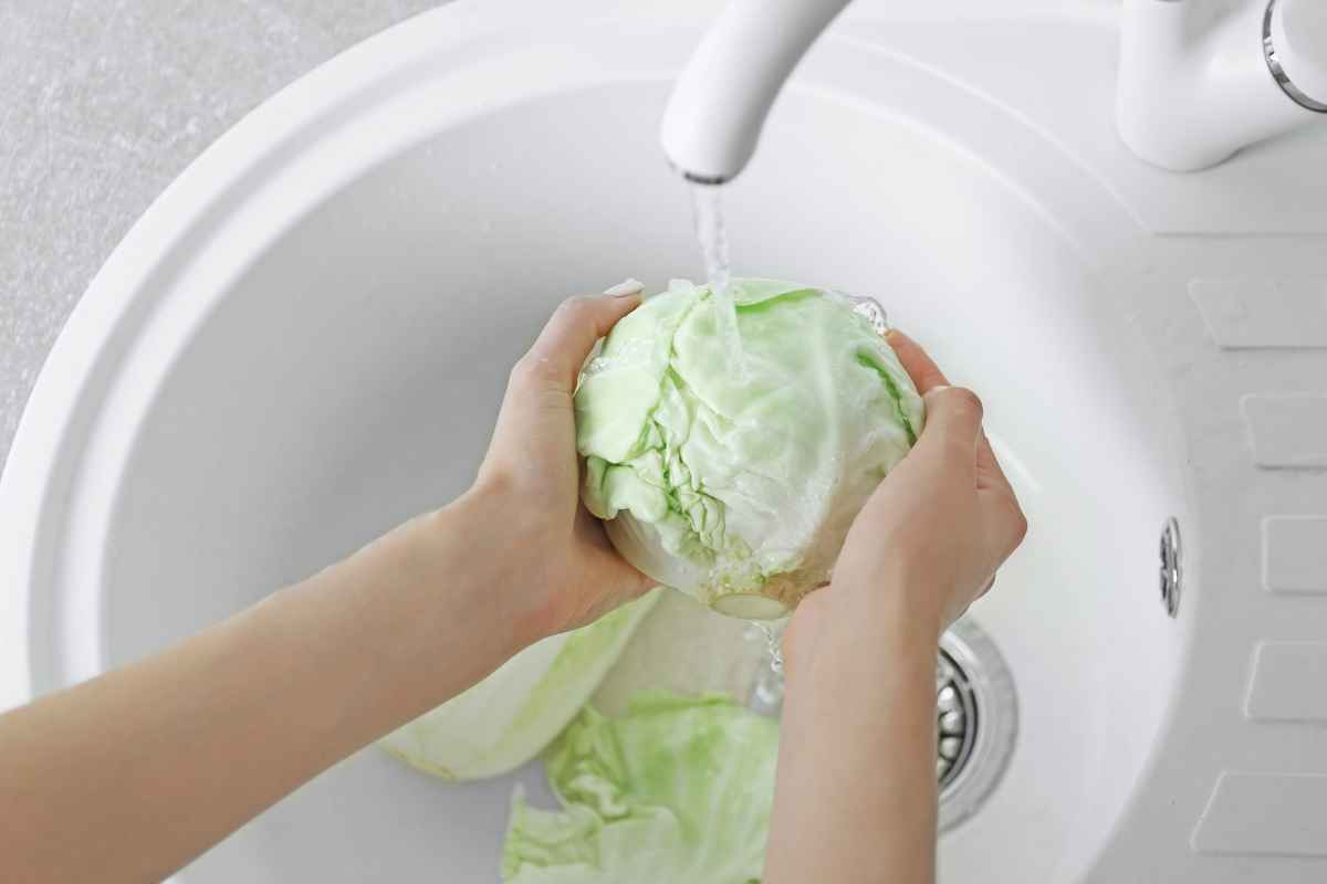 Cavoli, li hai sempre mangiati pieni di insetti e sabbia