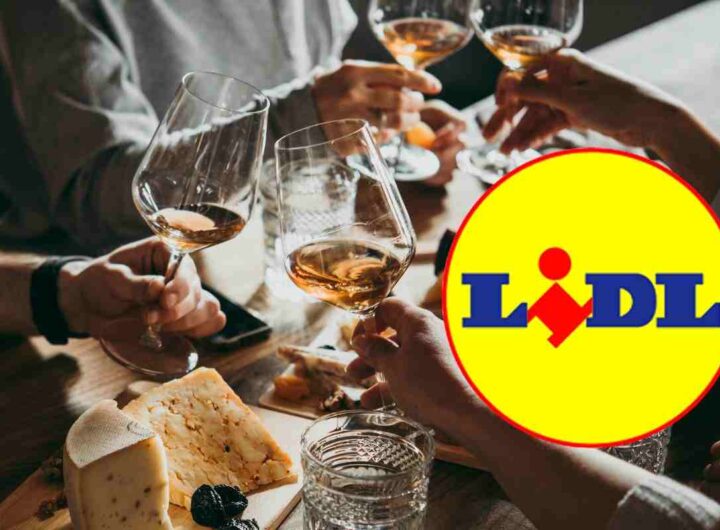 i vini delle feste di lidl