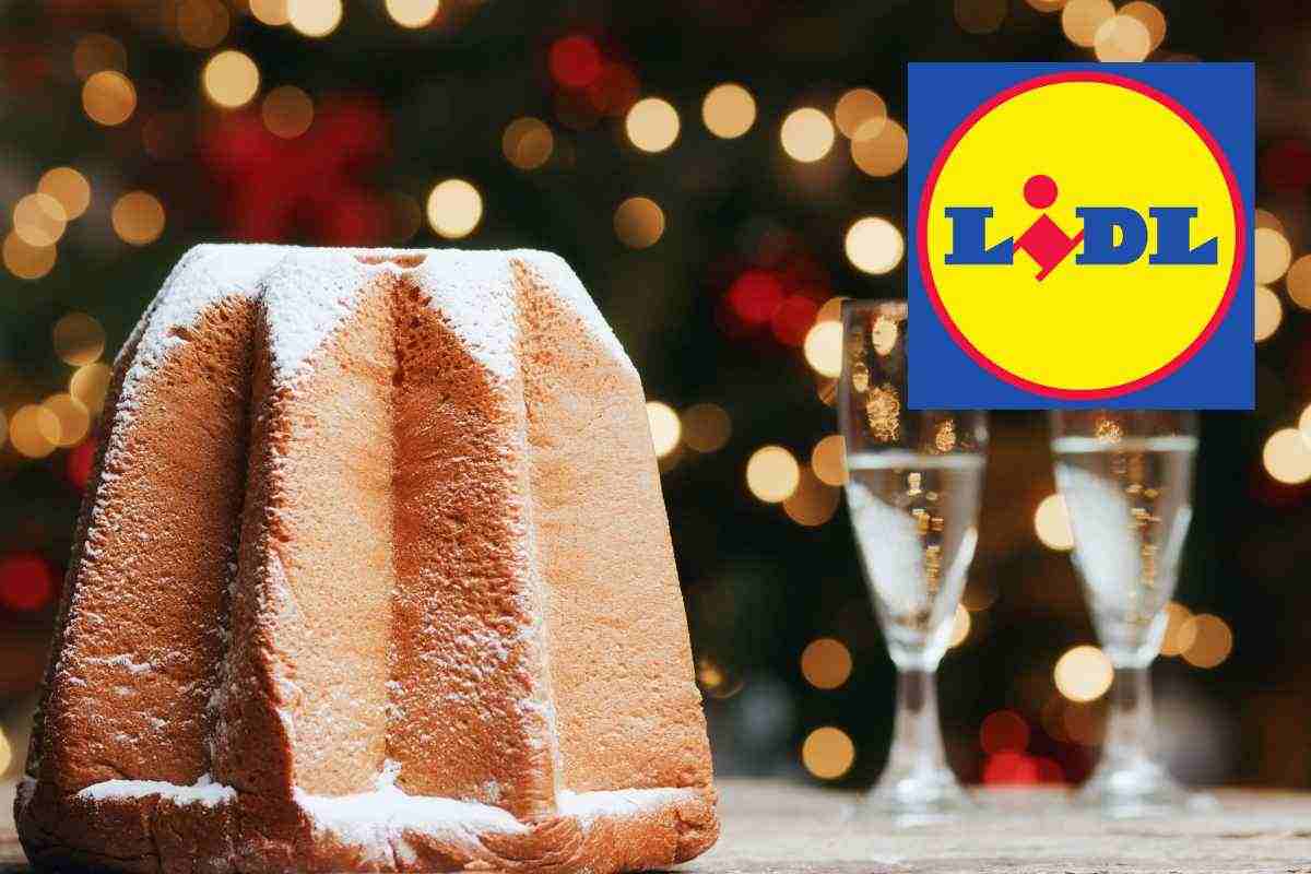 Il dolce di Natale più venduto di Lidl ha un produttore segreto, di chi si tratta